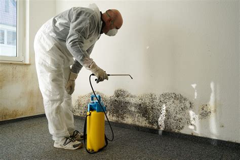 While black mold removal sometimes requires professional help, skilled DIY homeowners can learn how to kill black mold and effectively tackle …